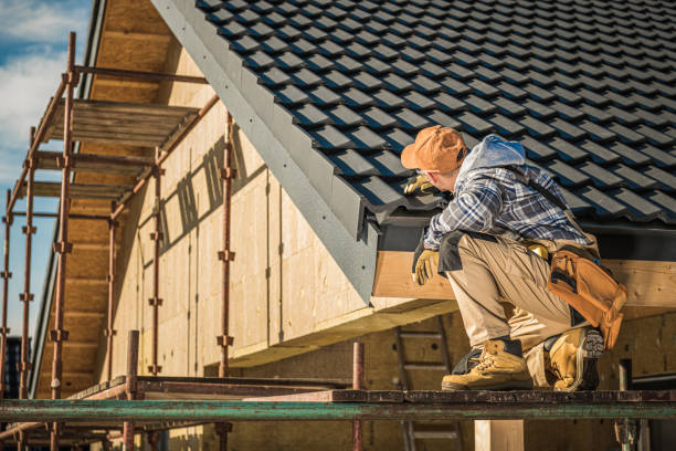 Best Solar Panel Roofing Installation  in Taylor Lake Village, TX